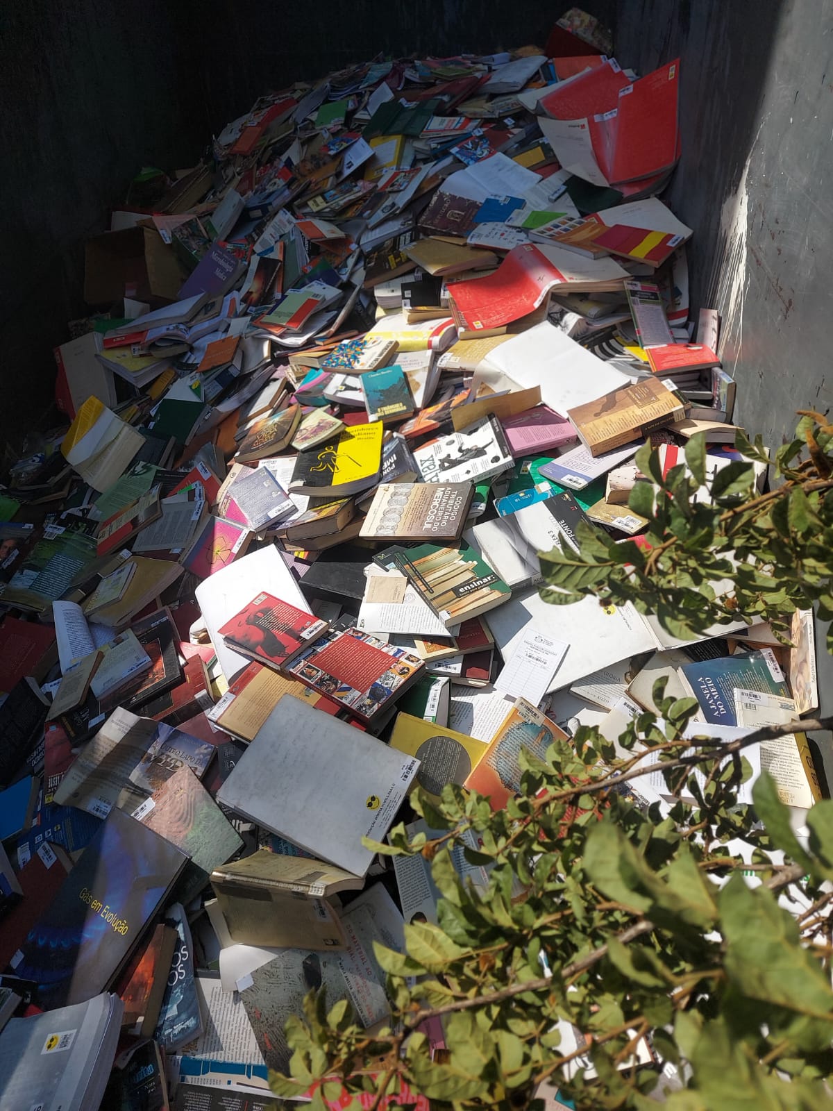 Acervo sob suspeita: livros são encontrados em caçamba e esvaziamento biblioteca em Osasco levanta questionamentos